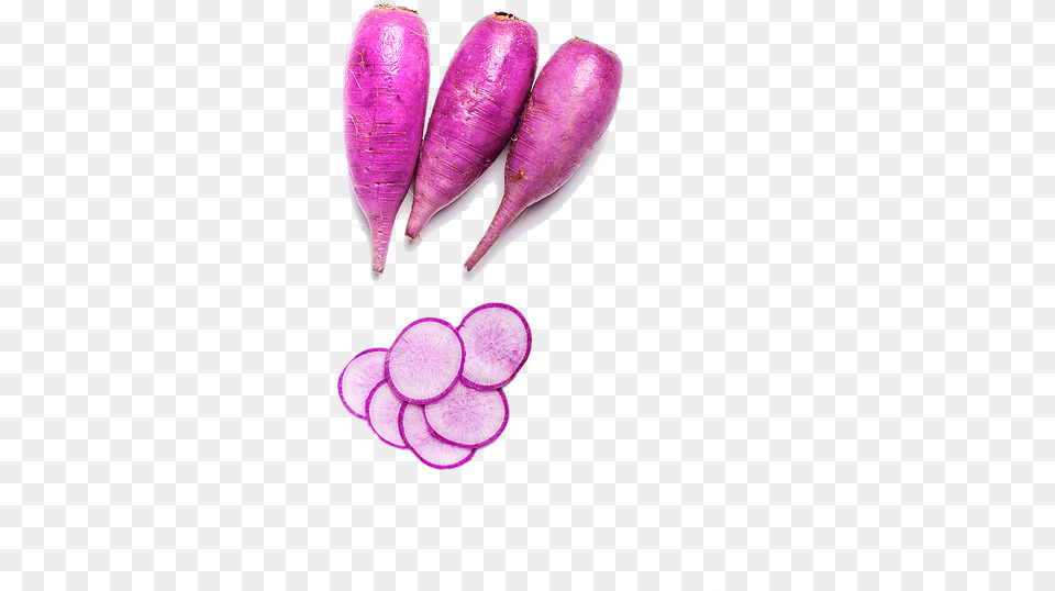 Large Purple Ninja Radish Carrot, Food, Produce, Plant, Vegetable Free Png Download