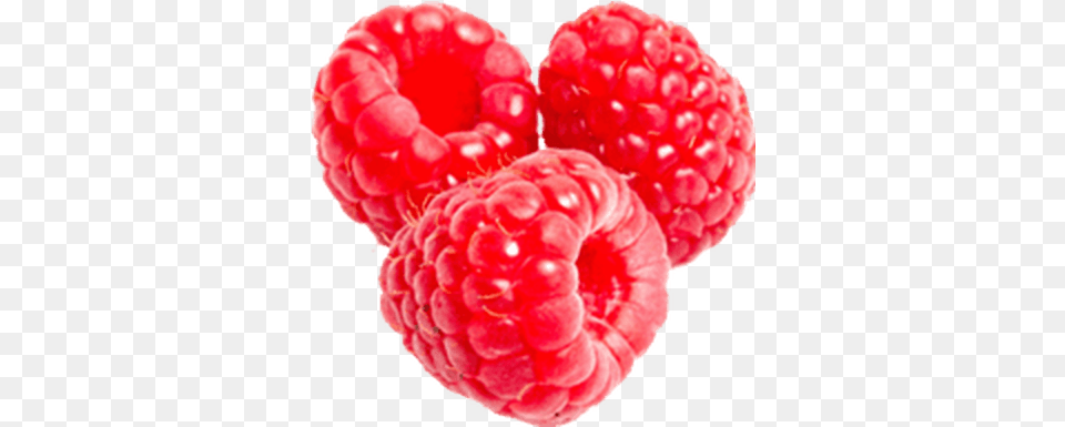 Large Raspberry Raspberry, Berry, Food, Fruit, Plant Free Transparent Png
