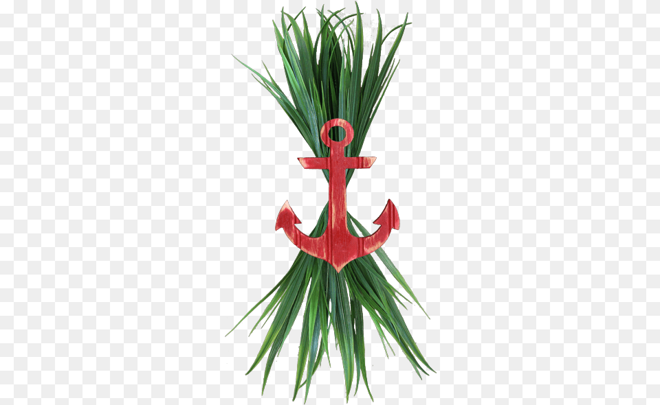 Large Red Anchor With Sea Grass Sea, Electronics, Hardware, Plant, Cross Free Transparent Png