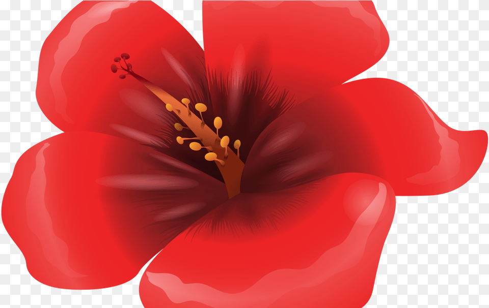 Large Red Flower Clipart Gallery Yopriceville Clip Art Red Flower, Petal, Plant, Anther, Hibiscus Png Image