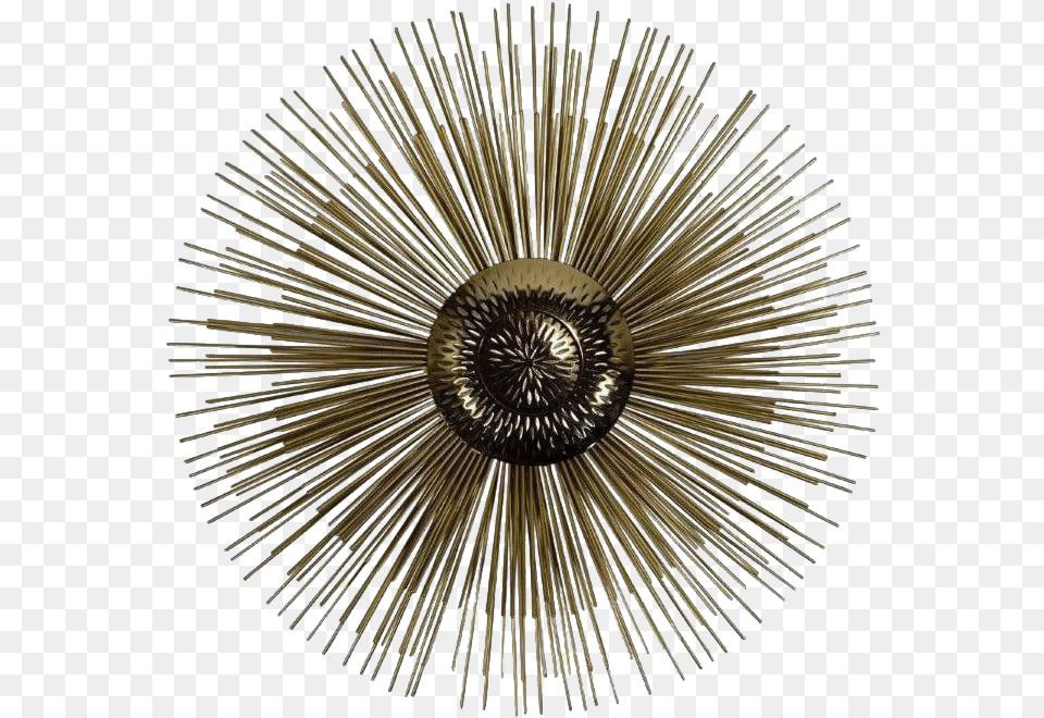 Large Round Brass Wall Decor Circle, Chandelier, Lamp, Accessories, Animal Png