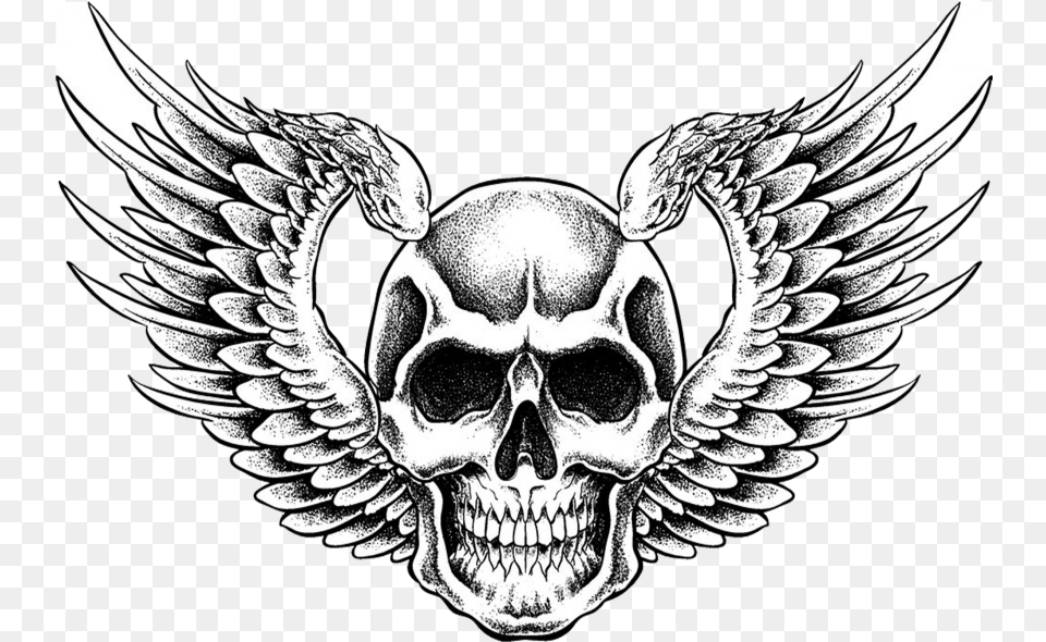 Large Size Of Easy To Draw Cartoon Skull Ways Skulls Skull With Wings Drawing, Emblem, Symbol, Logo, Face Free Png