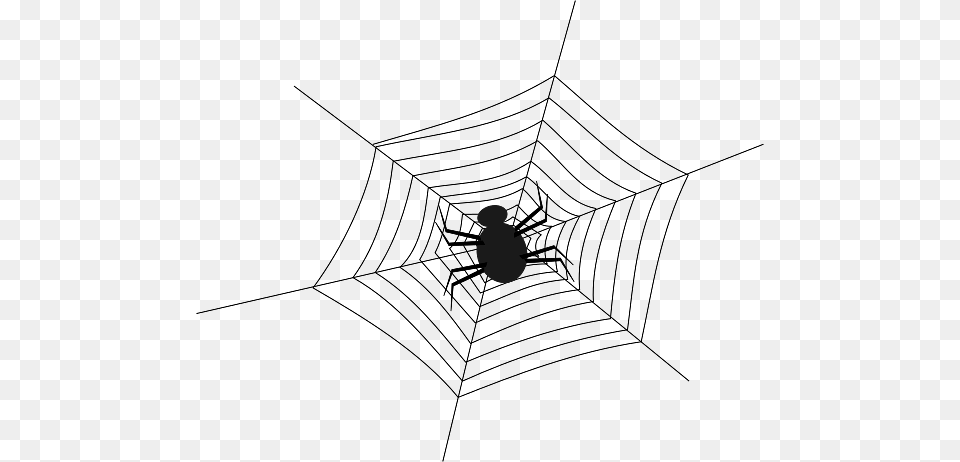 Large Spider In The Centre Of A Web, Spider Web, Animal, Fish, Sea Life Free Png