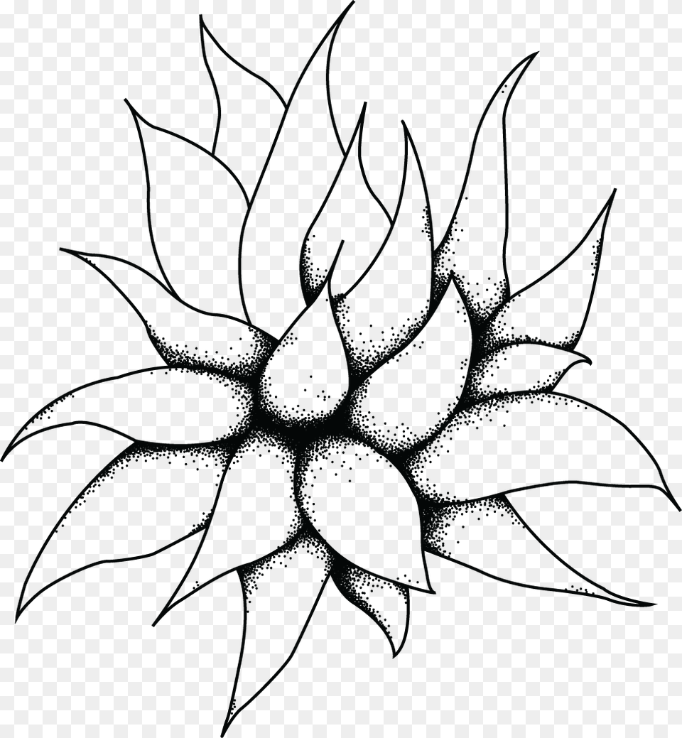 Large Succ Black And White Succulents, Accessories, Pattern, Ornament, Fractal Png Image