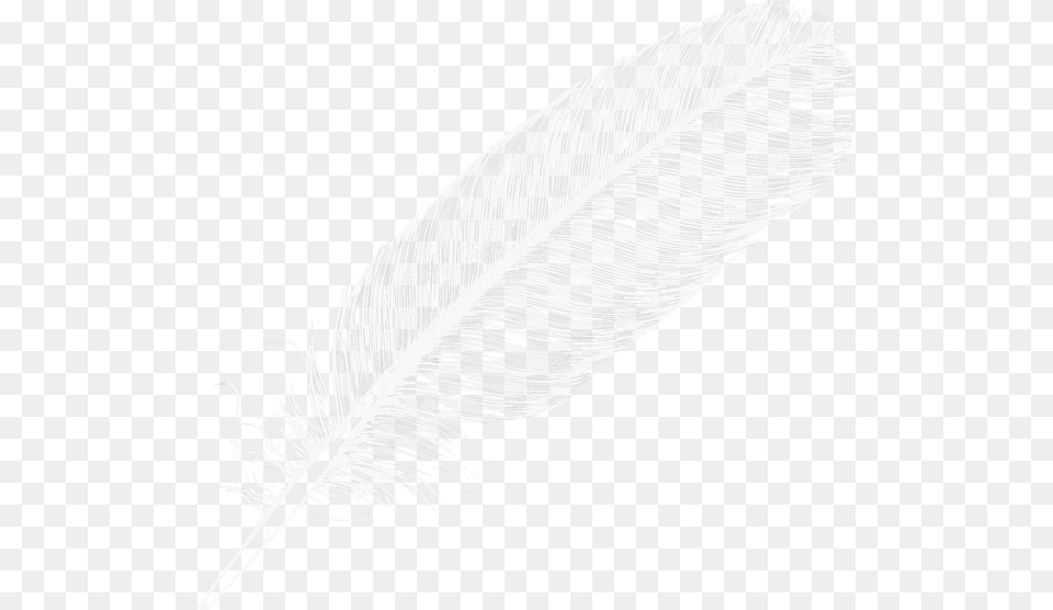 Large Transparent Digiscrap Clear Background White Feather, Bottle, Art, Plant, Reed Free Png