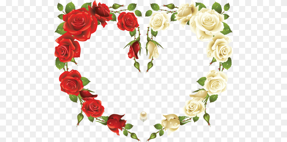 Large Heart Frame With Red And White Roses Dua For Success In Everything, Flower, Plant, Rose, Petal Free Transparent Png