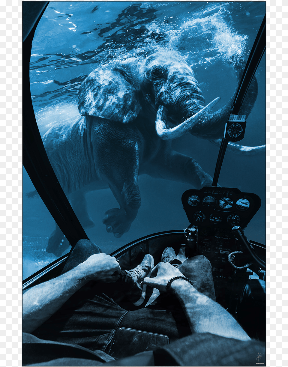 Large Wall Decor Surreal Underwater Elephant Drowning Underwater, Adult, Person, Man, Male Png Image