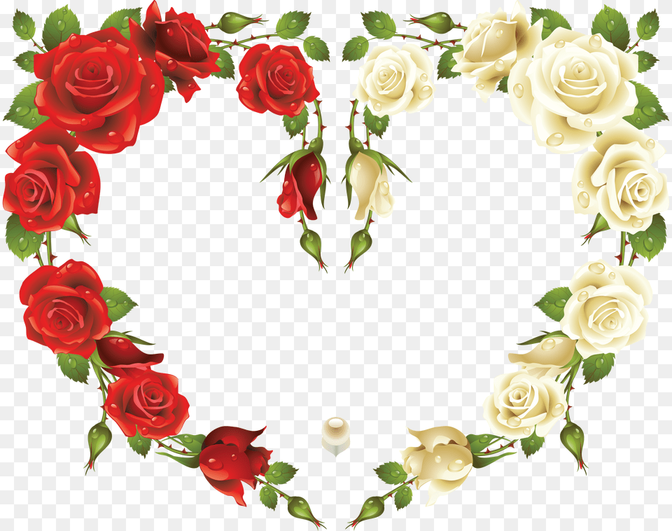 Large White Heart Rose Frame, Flower, Plant, Flower Arrangement, Flower Bouquet Free Transparent Png