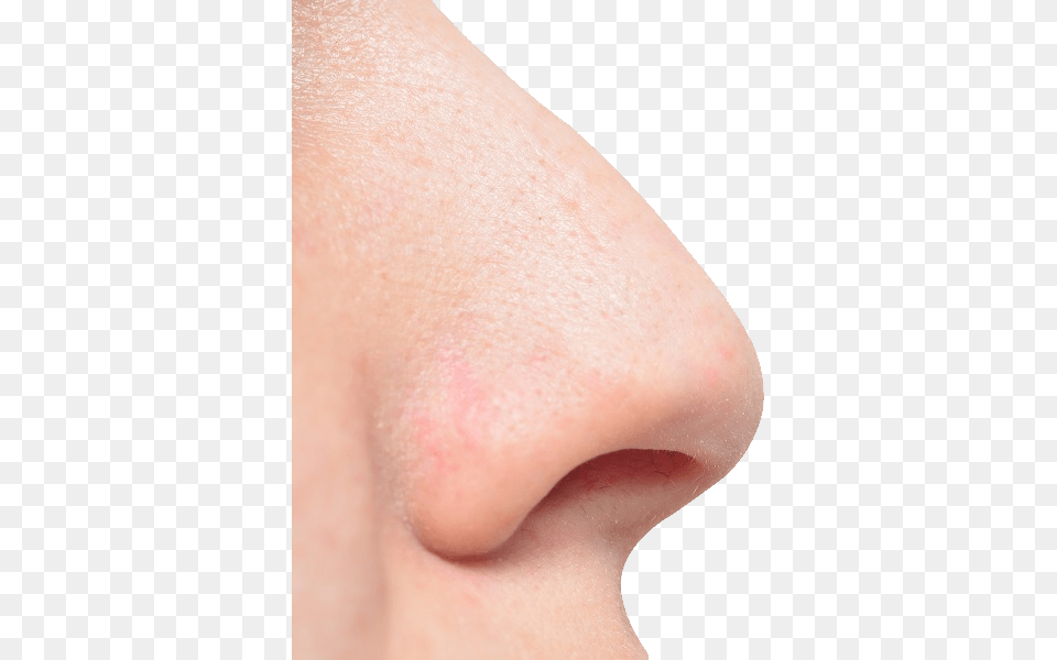 Large White Man Nose, Body Part, Face, Head, Neck Free Transparent Png
