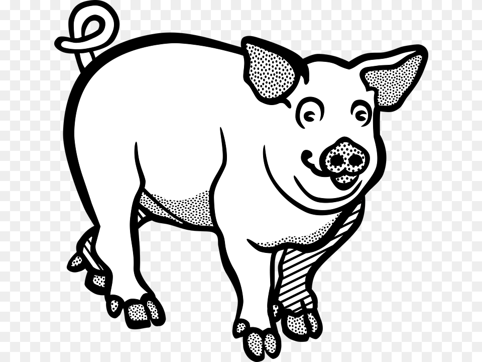 Large White Pig Clip Art Vector Graphics Image, Mammal, Animal, Hog, Person Free Png Download