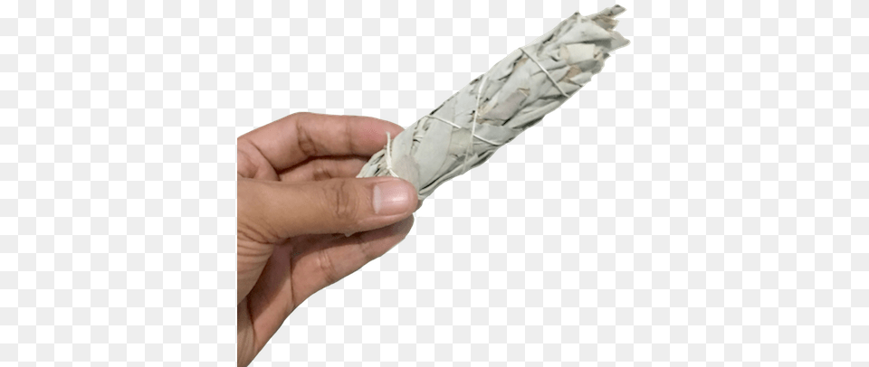 Large White Sage Smudge Stick Silver, Aluminium, Baby, Person, Body Part Png