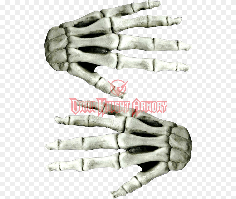 Large White Skeleton Costume Hands Hand, Electronics, Hardware, Baby, Person Free Png