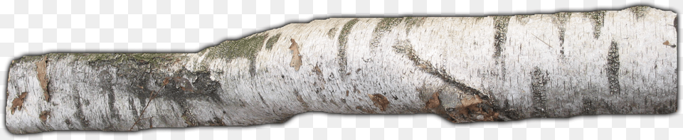 Large Wooden Branch, Plant, Rock, Tree, Tree Trunk Png