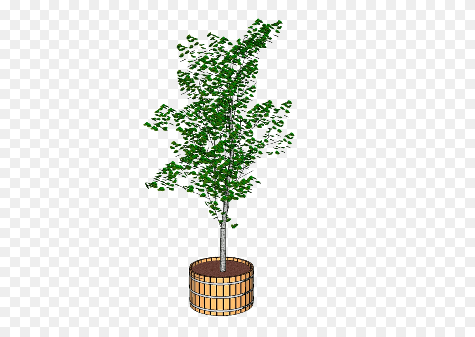 Large Wooden Planter Small Tree With Tub, Plant, Potted Plant, Leaf, Oak Png