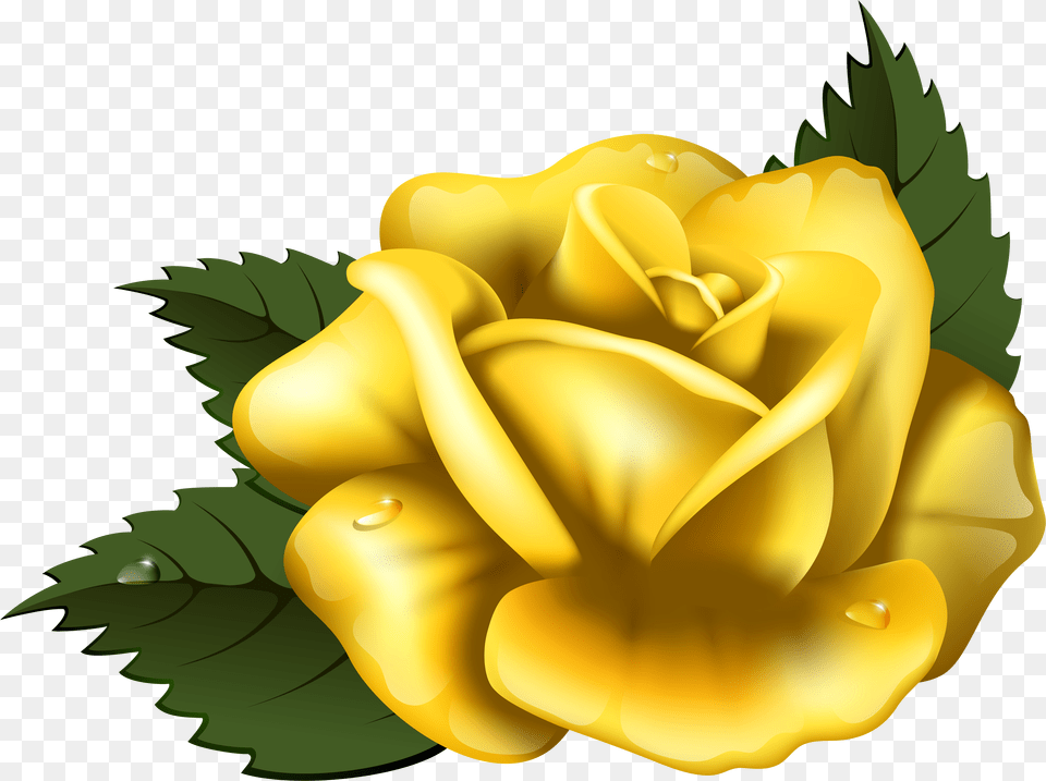 Large Yellow Rose Clip Art Image Clip Art Yellow Rose Free Transparent Png