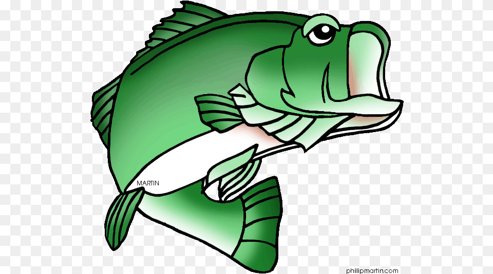 Largemouth Bass Fish Clip Art Sea Bass Clip Art, Baby, Person, Animal, Sea Life Png Image