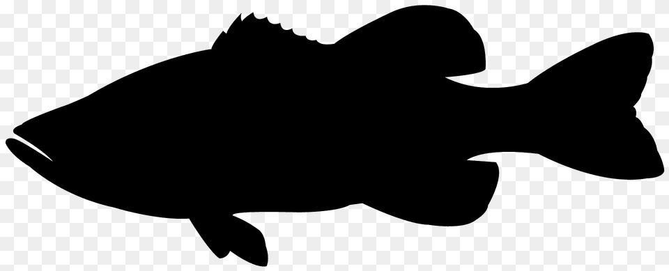 Largemouth Bass Silhouette, Animal, Sea Life, Fish, Shark Free Transparent Png