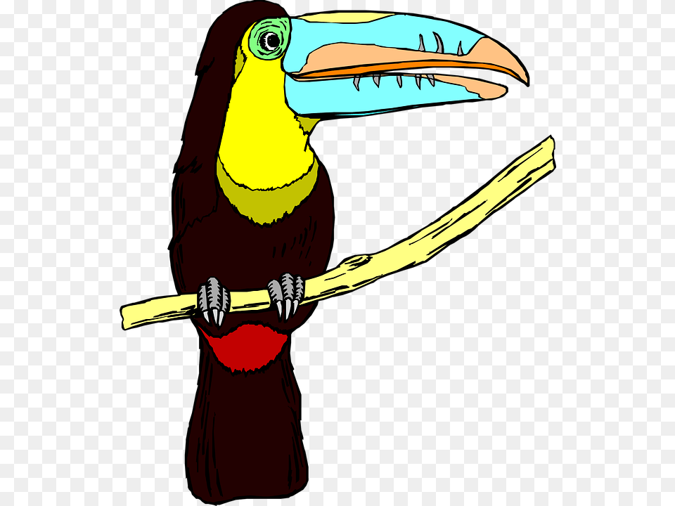 Larger Clipart Big Bird, Animal, Beak, Toucan Png