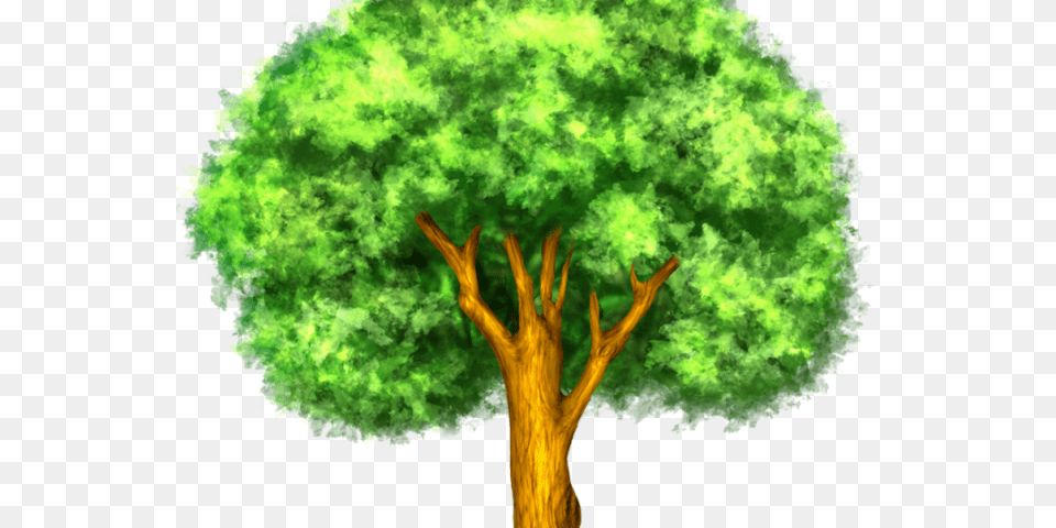 Larger Clipart Mango Tree Plant Response To Climate Change, Green, Vegetation, Tree Trunk, Outdoors Png Image