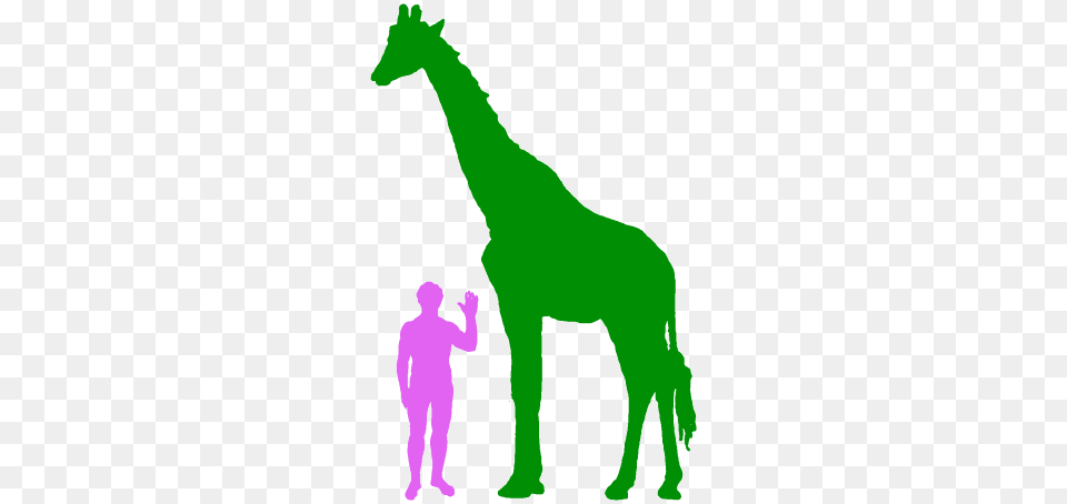 Larger Clipart Tall Short Animal, Silhouette, Adult, Person, Man Png Image