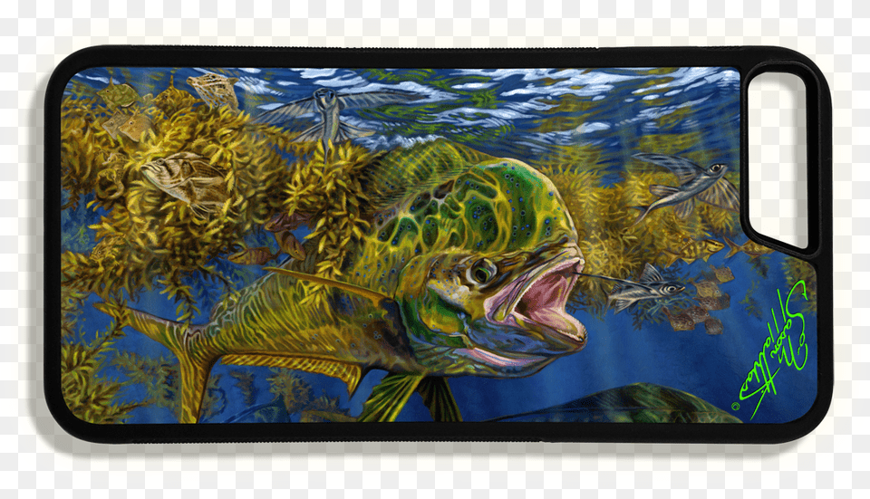 Larger More Photos Mahi Mahi Art, Aquatic, Water, Outdoors, Animal Free Png