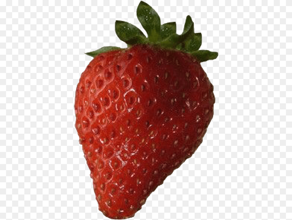 Largest Collection Of Free To Edit Fresh Prince Of Strawberry, Berry, Food, Fruit, Plant Png Image