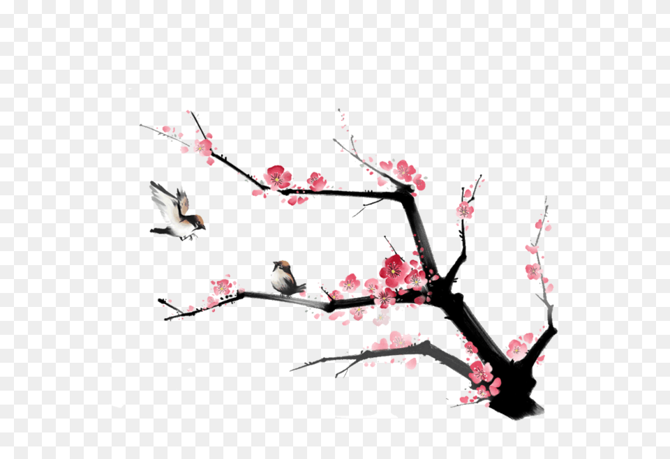 Largest Collection Of To Edit Sakura Chiyo Stickers, Flower, Plant, Animal, Bird Free Transparent Png