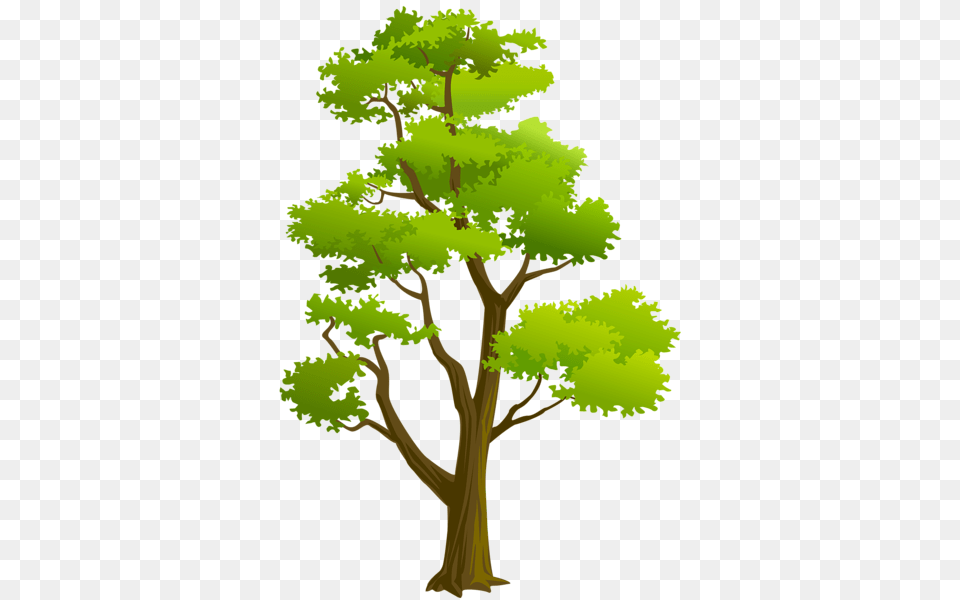 Largest Collection Of To Edit Tree Sap Stickers, Green, Plant, Oak, Sycamore Free Transparent Png