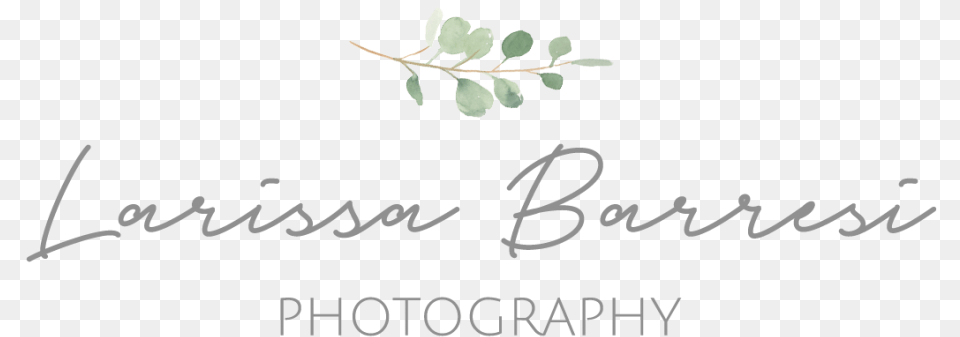 Larissa Barresi Photography Calligraphy, Leaf, Plant, Herbal, Herbs Free Png