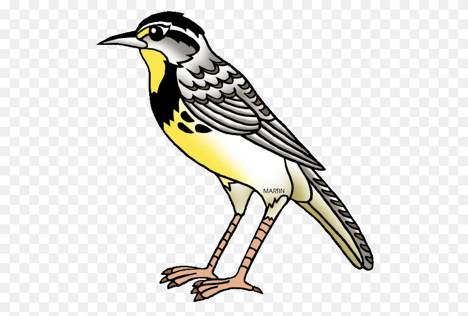 Lark Clip Art, Animal, Bird, Penguin, Anthus Png Image