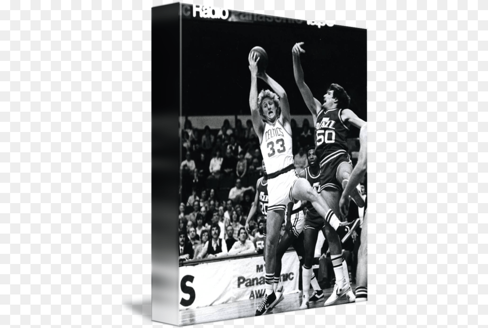 Larry Bird For Basketball, People, Person, Shorts, Clothing Free Png Download
