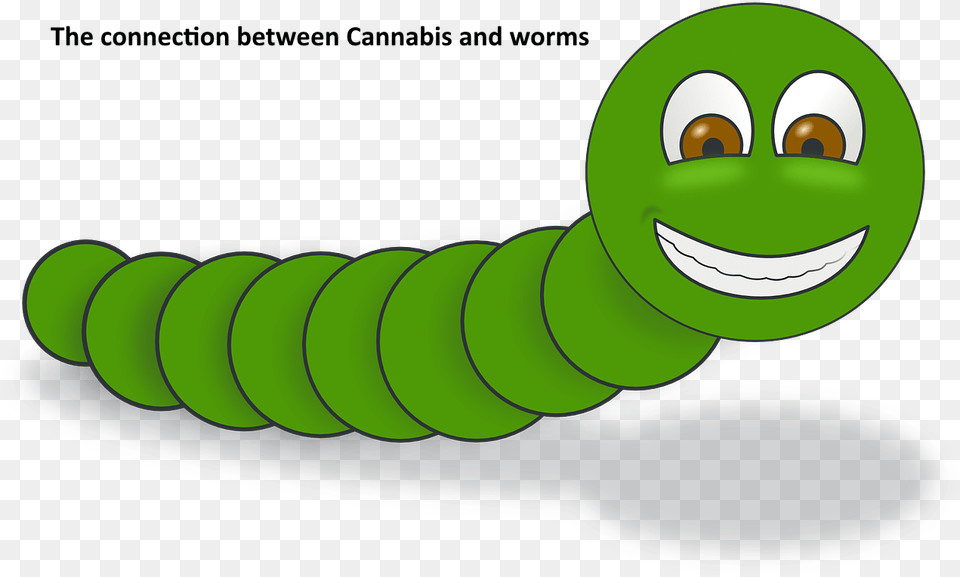 Larva Worm Clip Art, Green, Animal, Face, Head Png