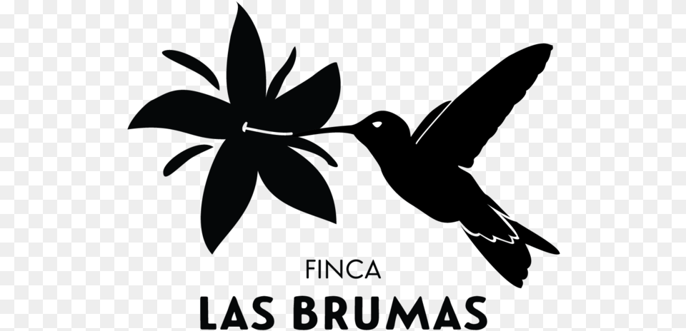 Las Brumas Black Only Logo Final Free Transparent Png