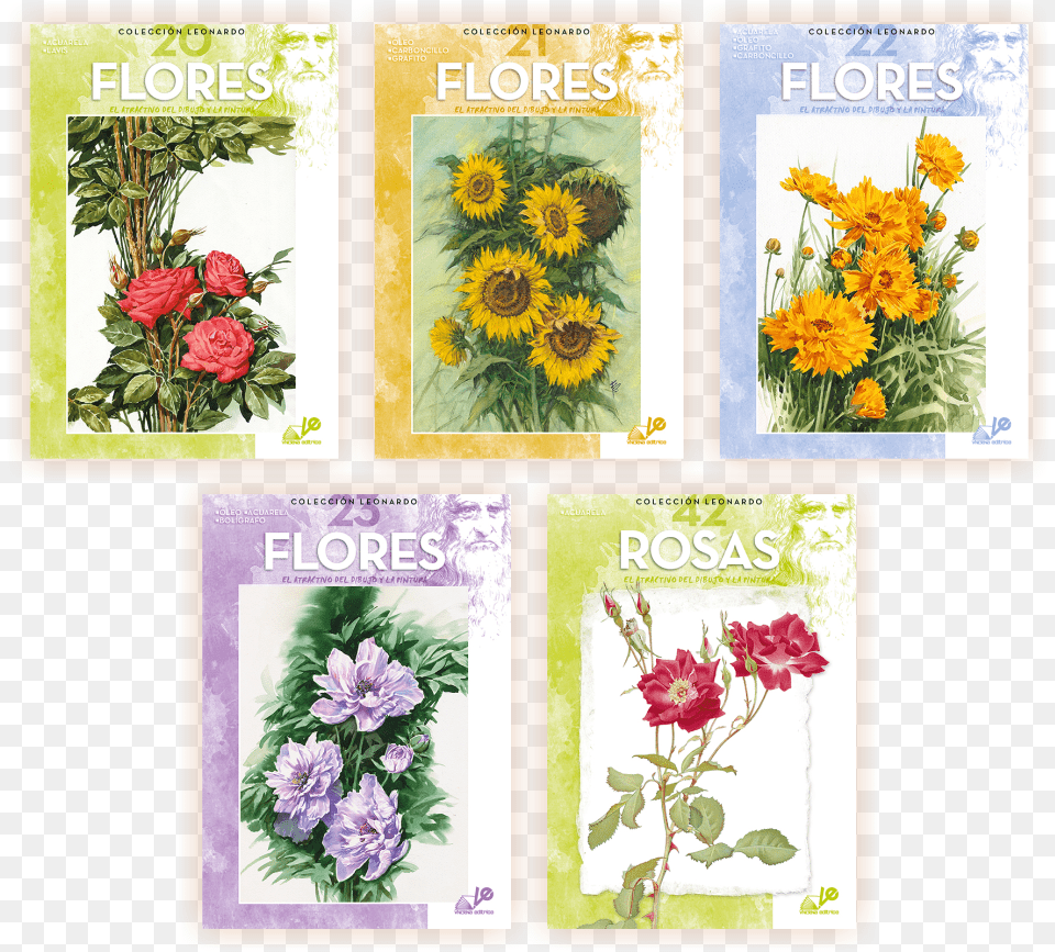 Las Flores Maimeri Fiori 23 Collana Leonardo, Art, Pattern, Mail, Greeting Card Free Png Download