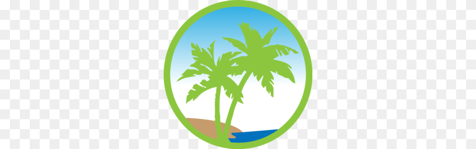 Las Palmas Taco Bar, Leaf, Palm Tree, Plant, Summer Free Transparent Png