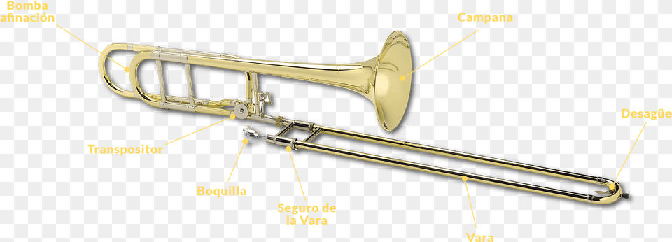 Las Principales Partes Del Trombn De Varas Son Types Of Trombone, Musical Instrument, Brass Section Free Transparent Png