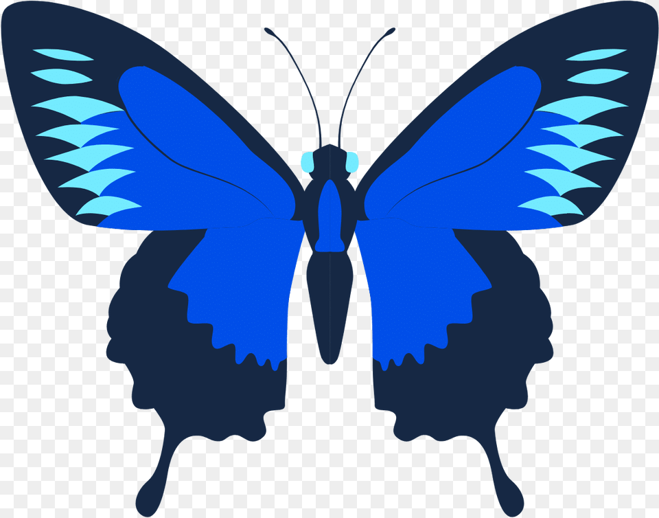 Laser Eye Surgery Dublin Silhouette Butterfly Graphic, Animal, Insect, Invertebrate, Person Png
