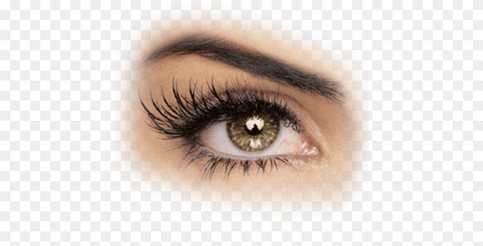 Lash Extensions Cat Eyes, Adult, Female, Person, Woman Png Image