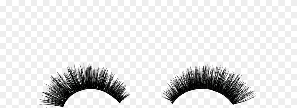 Lashes, Nature, Night, Outdoors, Accessories Free Png Download