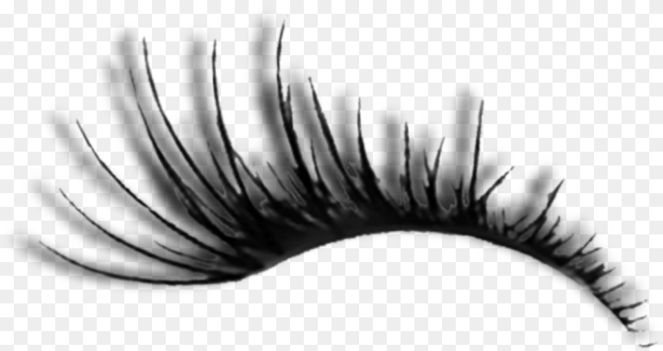 Lashes Eye Makeup Cool Face Mascara, Nature, Night, Outdoors, Plant Free Transparent Png