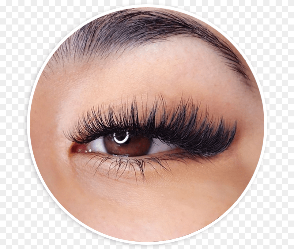 Lashes Eyelash Extensions, Adult, Female, Person, Woman Free Png Download