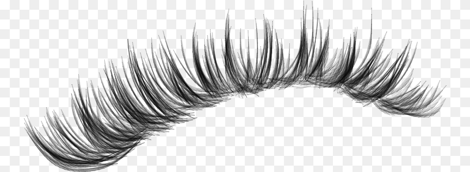 Lashes Makeup Lash Eyelashes Eyeliner Fakelashes Eyelash, Gray Png