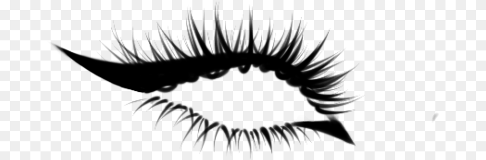 Lashes Procreate, Gray Free Transparent Png