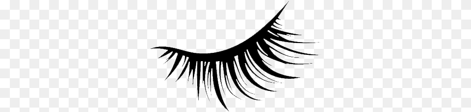 Lashes Shape, Gray Free Transparent Png
