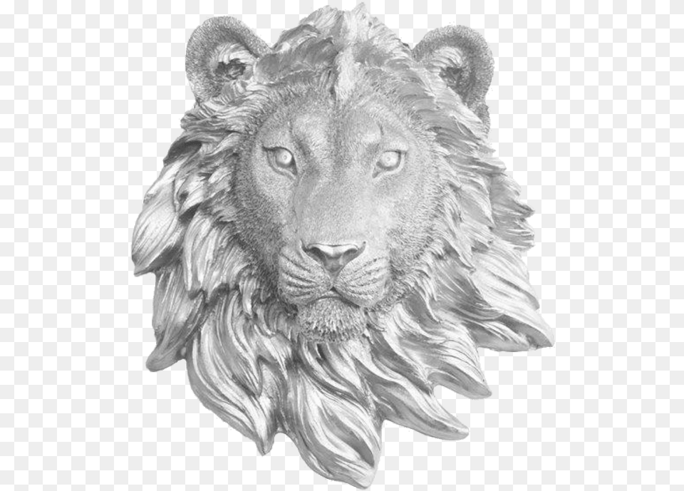 Lass Amp Lions Vodka, Animal, Art, Drawing, Lion Png Image