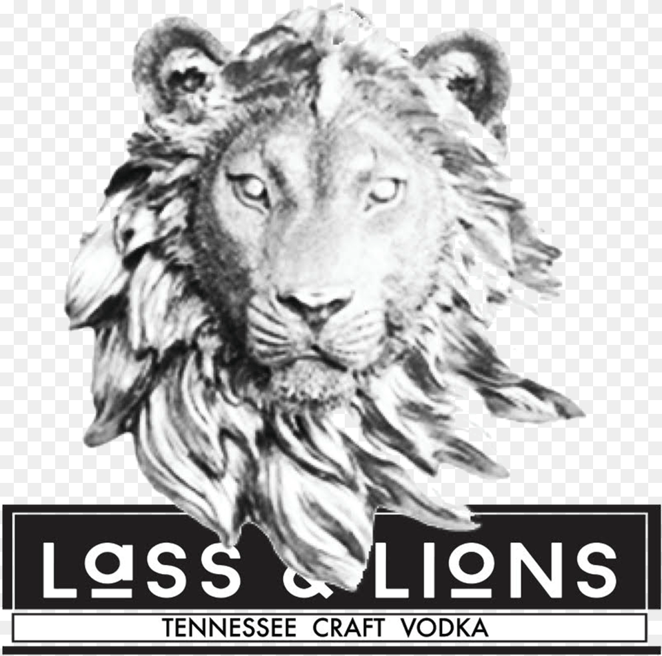 Lass Amp Lions Vodka, Animal, Lion, Mammal, Wildlife Free Transparent Png