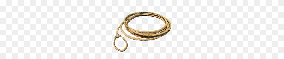 Lasso Small Loop, Rope, Animal, Reptile, Snake Png