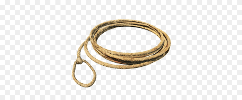 Lasso Small Loop Rope, Animal, Reptile, Snake Free Transparent Png