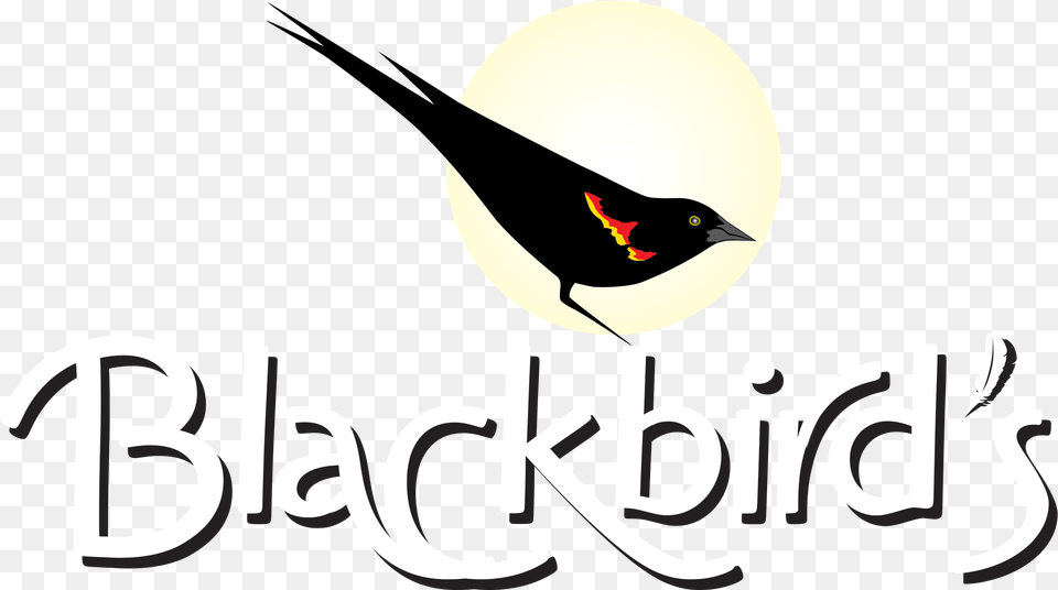 Last Call, Animal, Bird, Blackbird Png