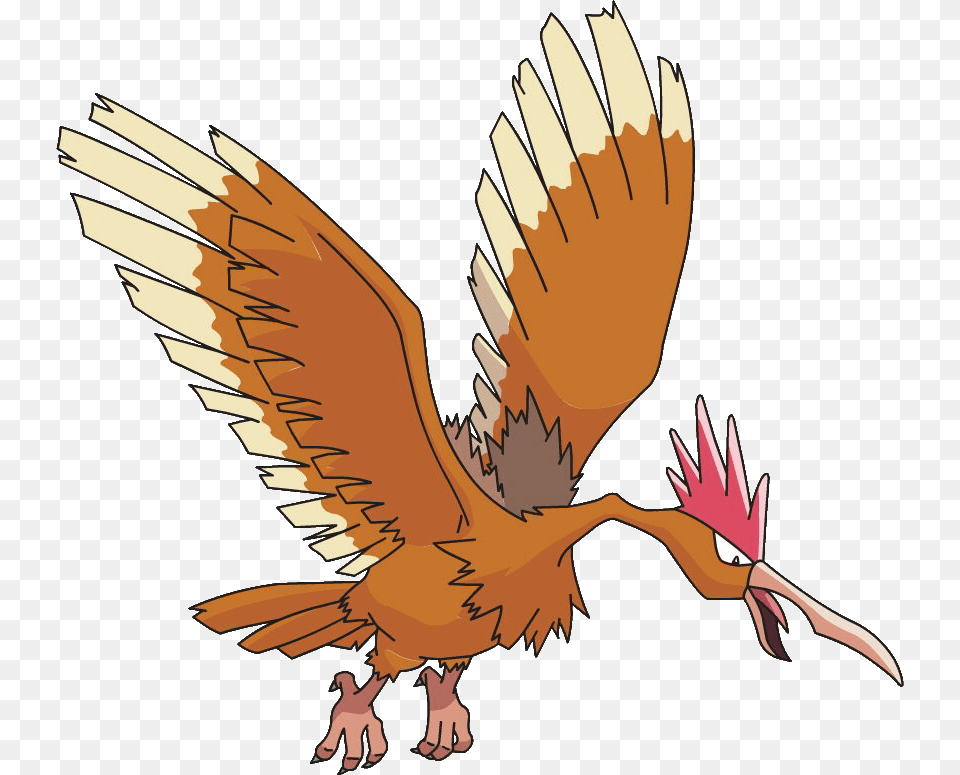 Last Evolution Of Rowlett, Animal, Beak, Bird, Person Png
